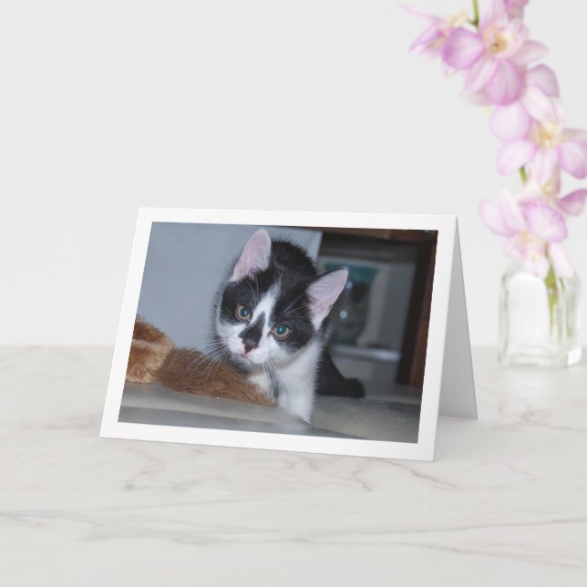Black and White Kitten Card (Orchid)