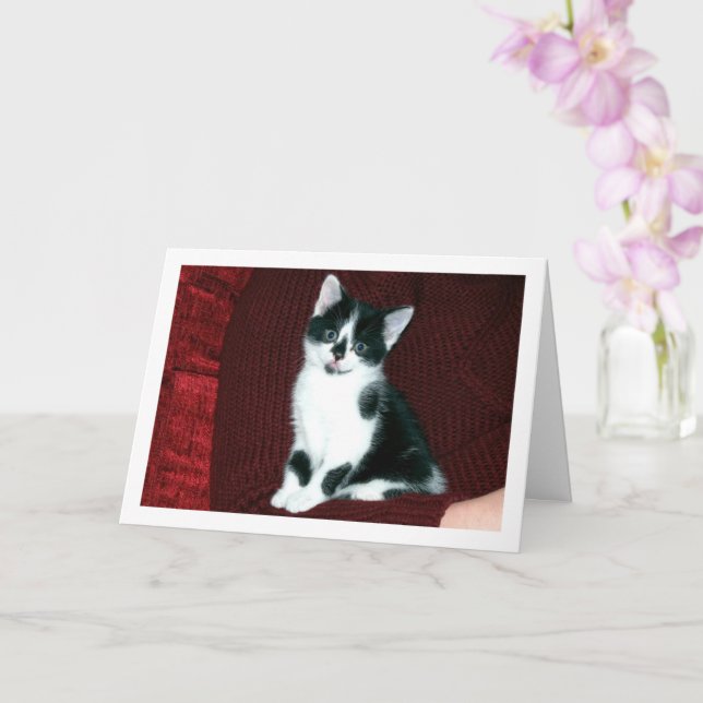 Black and White Kitten Card (Orchid)