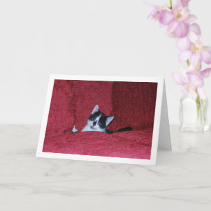 Black and White Kitten Down Sofa Card