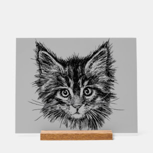 Black and White Kitten Face on Grey Acrylic Sign