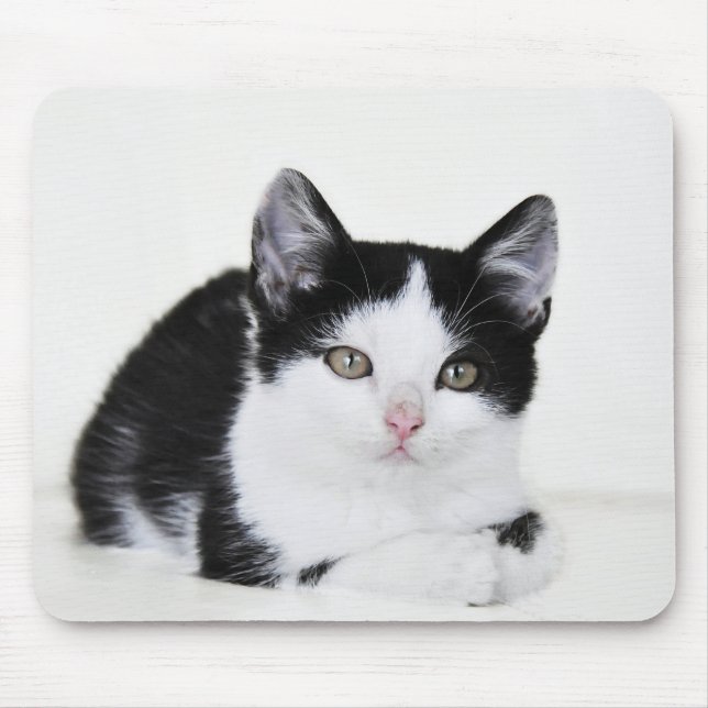 Black and White Kitten Mouse Mat (Front)