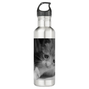 Black and White Kitten Photograph 710 Ml Water Bottle