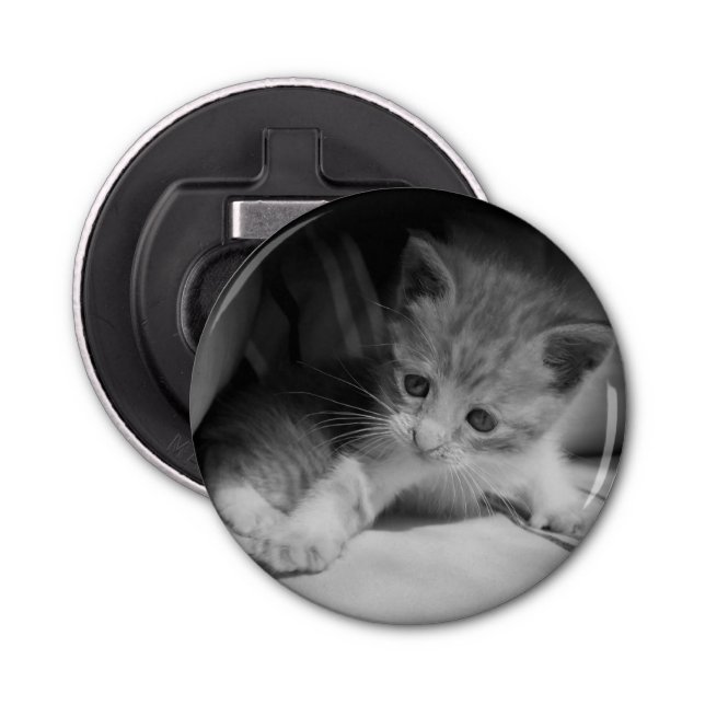 Black and White Kitten Photograph Bottle Opener (Front)