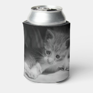 Black and White Kitten Photograph Can Cooler