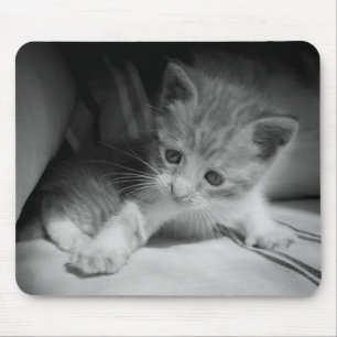 Black and White Kitten Photograph Mouse Mat