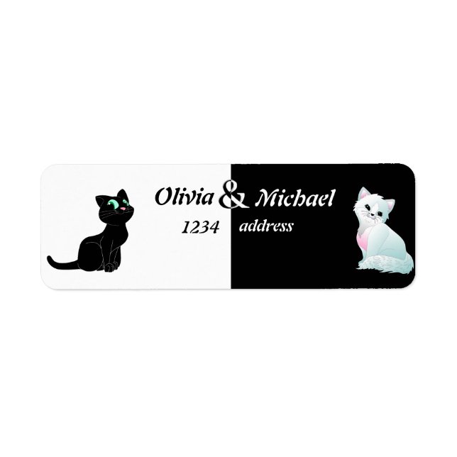 Black and white kittens (Front)