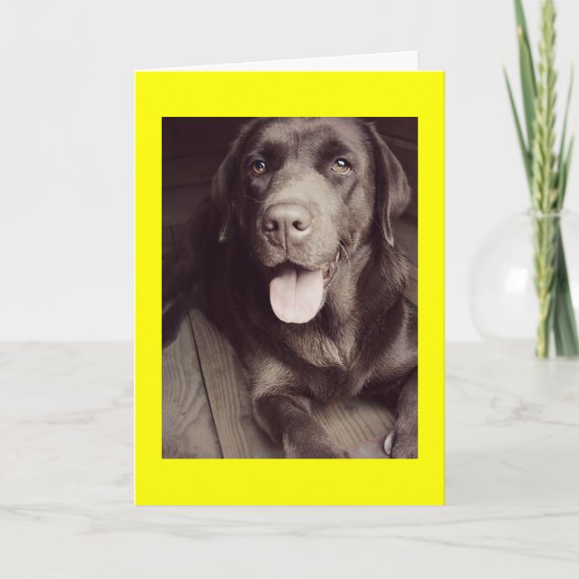 Black And White Labrador Retriever Dog Note Card (Front)