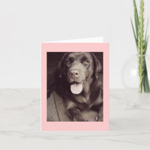 Black And White Labrador Retriever Dog Note Card