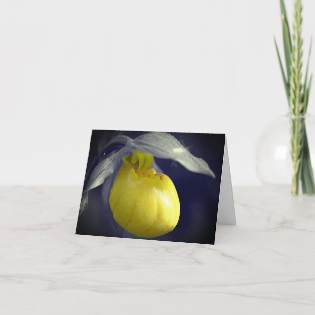 Black And White Lady Slipper Orchid Note Card (Front)
