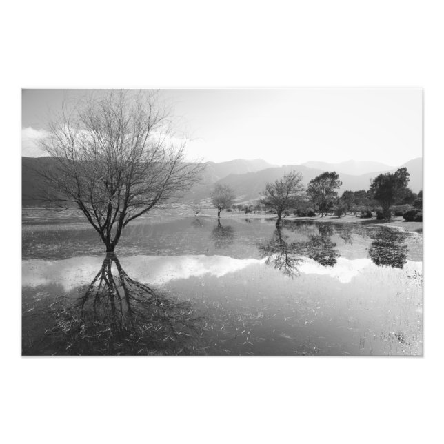 Black and White lake Photo Print (Front)