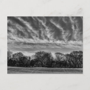 Black and White Landscape Photo of Central Park Postcard