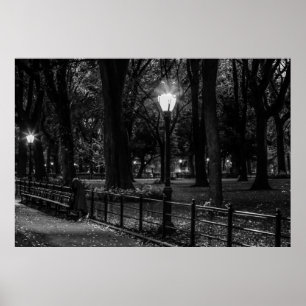 Black and White Landscape Photo of Central Park Poster