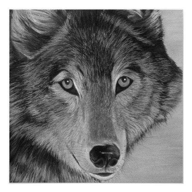 black and white lifelike painting ofa grey wolf poster (Front)