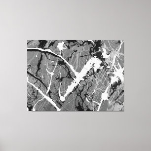 BLACK AND WHITE LII - Action painting -Abstract- Canvas Print
