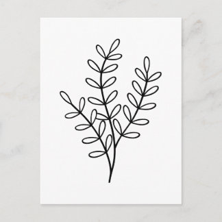 Black and White line art delicate leaves Postcard