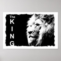Black And White Lion Template Nature Animal King