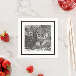 Black and White Llama Alpaca Andes Animal Art Napkin
