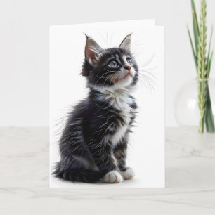 Black and White Long-Hair Cat Blank Greeting Card