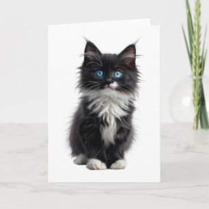 Black and White Long-Haired Cat Blue Eyes Blank Card