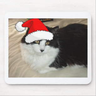 Black and White Longhaired Cat Mouse Mat