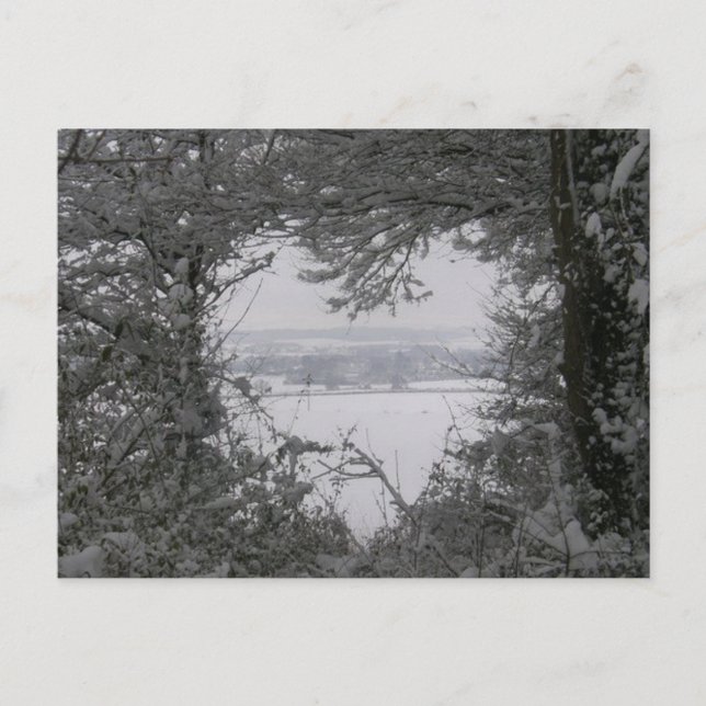 Black and White Love Snow Heart Photo Christmas Holiday Postcard (Front)