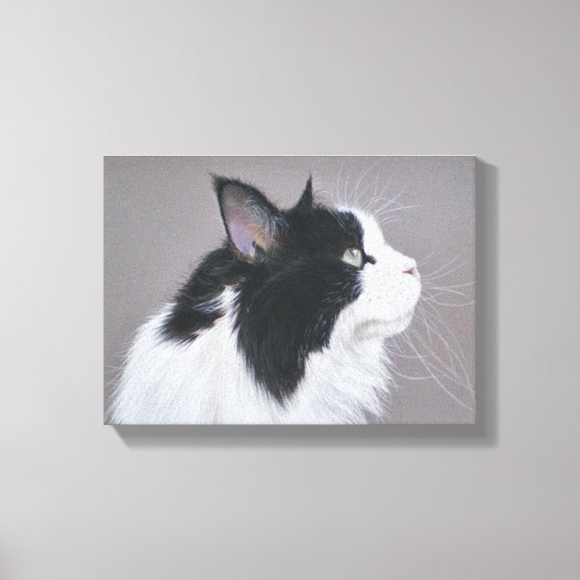 Black and White Maine Coon cat Canvas Print (Front)