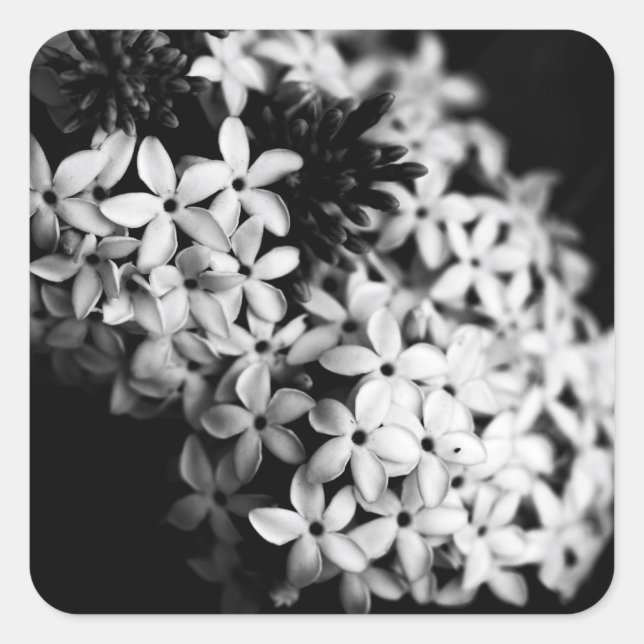 Black and white mini florals square sticker (Front)