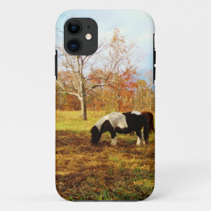 Black and White Miniature Pony / Horse iPhone 11 Case