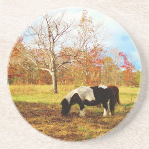 Black and White Miniature Pony / Horse Coaster