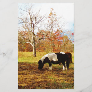 Black and White Miniature Pony / Horse Stationery
