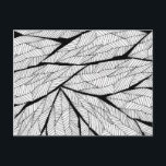 Black and White Modern Abstract Geometric Leaves Postcard<br><div class="desc">This modern and cool black and white abstract geometric leaves pattern is perfect for the trendy and stylish individual. Its artistic and contemporary print is great for many gifts and occasions. Enjoy this simple and fashionable design for your next purchase.</div>