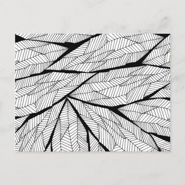 Black and White Modern Abstract Geometric Leaves Postcard (Front)