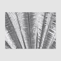 Black and White Modern Tropical Palm Fronds