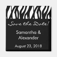 Black and White Modernist Stripe