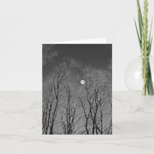 Black and white moon through the trees note card (Front)