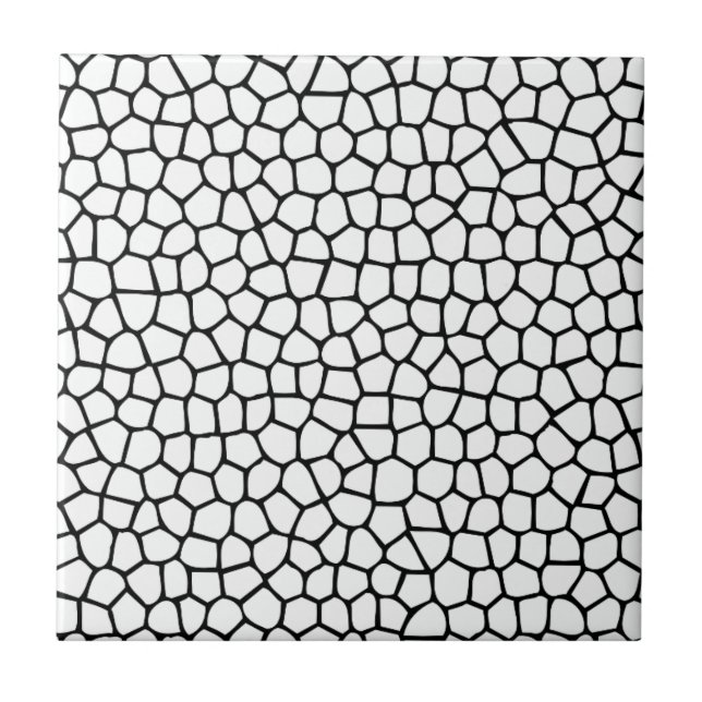 Black and white Mosaic pattern Tile (Front)