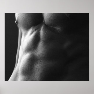 Black and White Muscular Male Torso Poster