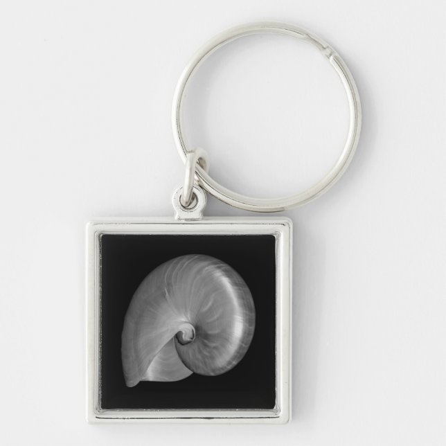 Black and White Nautilus Shell Key Ring (Front)