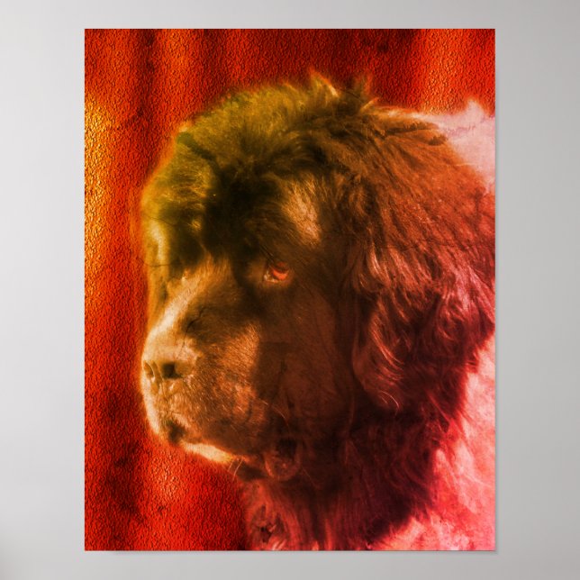 Black And White Newfoundland Dog Face Abstract Poster (Front)