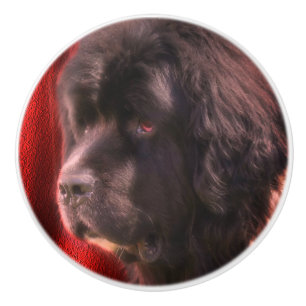 Black And White Newfoundland Dog Face   Ceramic Knob