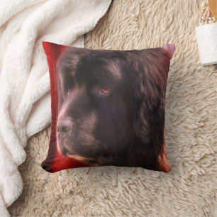 Black And White Newfoundland Dog Face Cushion