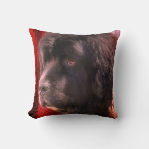 Black And White Newfoundland Dog Face Cushion