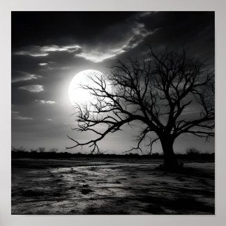 Black and white noir photo moon landscape poster