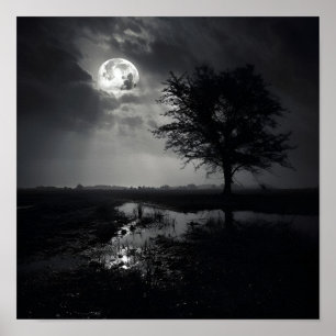 Black and white noir photo moon landscape Poster