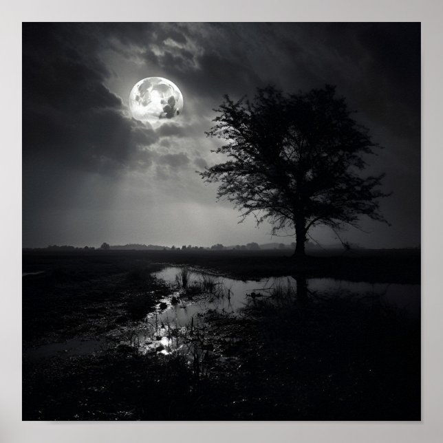 Black and white noir photo moon landscape Poster (Front)