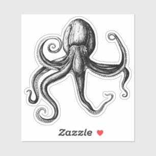 Black and White Octopus