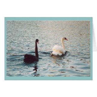 Black and white on the Rideau