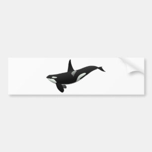 Black and White Orca Killer Whale Bumper Sticker