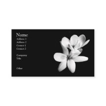 Black and White Orchid Floral