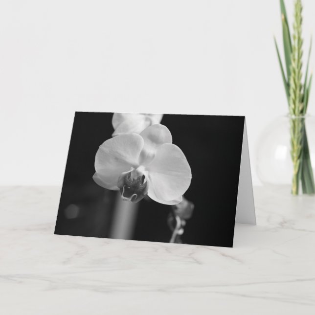 Black and White Orchid Photo "Happy Birthday!" Card (Front)